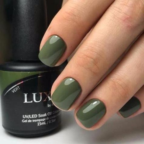 A modern mossy green. Luxio is 100% pure gel that is odorless and solvent free. Because it is not mixed with polish like some other brands, it offers more durability without any of the traditional side effects. LUXIO GEL COLORS - Over 120 Colors available.15ml/0.5oz Benefits of Luxio over other brands: no white spots o Luxio Nails Colour, Mossy Green Nails, Fall Nails 2022 Green, Green Fingernails, Green Nail Colors, Army Green Nails, Mail Color, Ruby Nails, Gel Colors