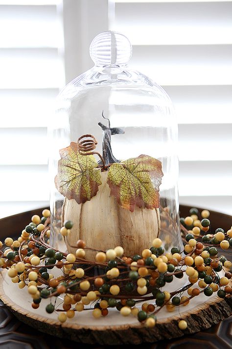 Fall Decorations - How to make a cloche and two ideas for styling it for fall! Fall Cloche, Cloche Decor, Table Halloween, Rustic Fall Decor, Fall Deco, Autumn Decorating, Glass Cloche, Fabulous Fall, Fall Centerpiece