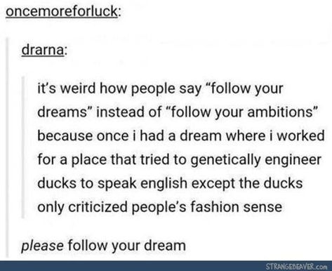 follow your duck dreams Dream Person, Funny Duck, Weird Dreams, Funny Tumblr Posts, Funny Pins, Tumblr Posts, Tumblr Funny, Funny Posts, Funny Texts