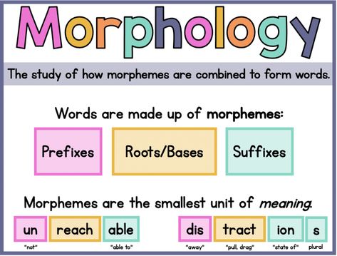 Morphology 3rd Grade, Morphology Wall 3rd Grade, Morphology Anchor Chart, Morpheme Wall, Morphology Bulletin Board, Morpheme Magic, Morphology Wall, Morphology Lessons, Cafe Reading Strategies