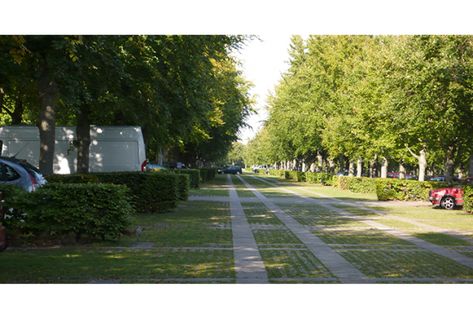 Green Parking Designs - Landscaped parking lot Green Parking Design, Green Parking Lot, Green Parking, Driveway Design, Water Management, Urban Architecture, Green City, Green Park, Parking Design