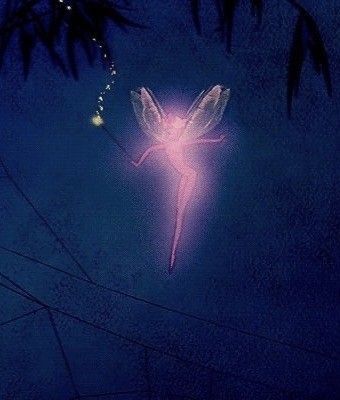 She Was A Fairy, Pink Fairy, Fairy Aesthetic, August 17, Fairy Angel, Fairy Art, Playlist Covers, Fairy Core, Night Sky