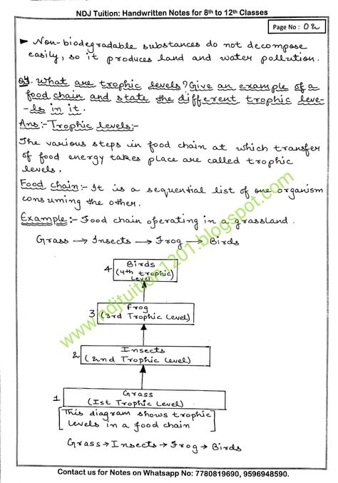 Our Environment Handwritten Notes for Class 10th Science Notes Biology, Class 10 Science Notes Biology, Our Environment Class 10 Notes, Icse Class 10 Biology Notes, Class 10 Science Notes Biology Our Environment, Class 10 Notes, Class 10 Science How Do Organisms Reproduce Notes, Class 10 Science Notes, Class 10 Cbse Notes Social Science