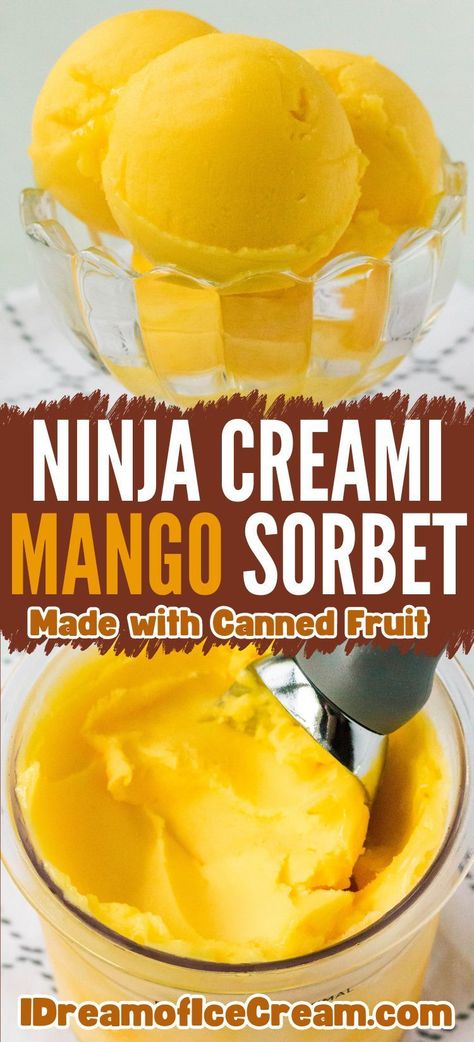 Enjoy the sweet summer flavor of mango sorbet with this easy Ninja Creami recipe! It's made with canned fruit, so it's super simple to whip up, making it a healthy dessert you can feel good about. Sherbert Ninja Creami, Ninja Creami Sorbet Recipe, Ninja Creami Mango, Ninja Creami Sorbet, Creami Recipies, Canned Mango, Ice Cream Maker Recipes Healthy, Mango Sorbet Recipe, Ninja Creami Recipe