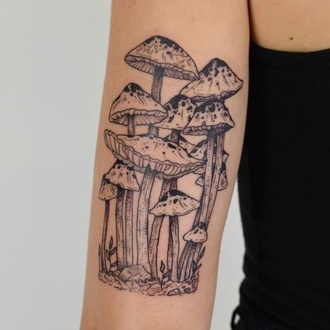 Tenderfoot Studio on Instagram: “Loving this mushroom forest by @fortytwojudges - Books open for Fall!” Mushroom Lady, Mushroom Tattoo, Tattoo Placements, Mushroom Tattoos, Geniale Tattoos, Simplistic Tattoos, Dope Tattoos, Tattoo Design Drawings, Creative Tattoos