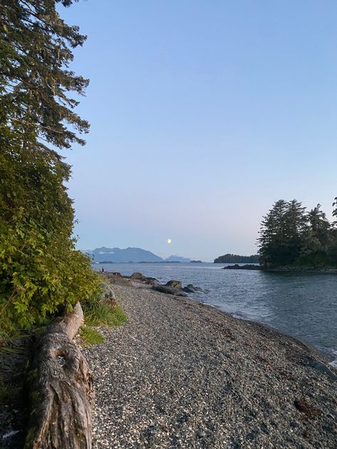 Alaska Travel Aesthetic, Summer In Alaska, Alaska Beach, Alaska Aesthetic, Alaskan Homes, Beach Trees, Alaska Travel Guide, Alaska Summer, Outdoors Aesthetic