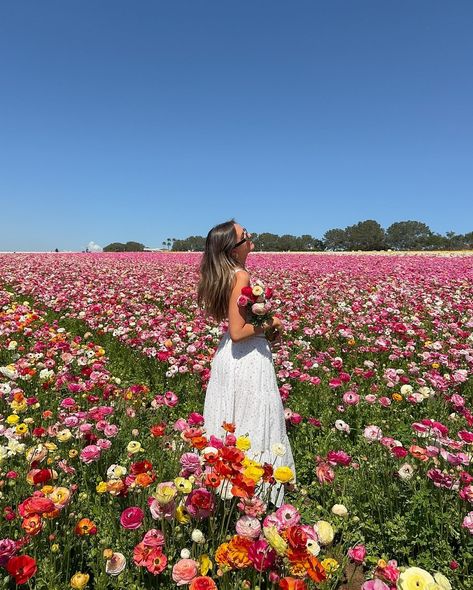 nothing like frolicking through the flower fields in a cute new spring outfit !!! 🌸🌷🌺 20ALI @princesspollyboutique #springoutfit #springtime #outfitinspiration #springoutfits #springoutfitideas #pinterest #pinterestinspired #pinterestgirl Flower Picks, Spring Inspo, Picking Flowers, Spring Girl, Nothing But Flowers, Spring Mood, Flower Therapy, Spring Aesthetic, Spring Vibes