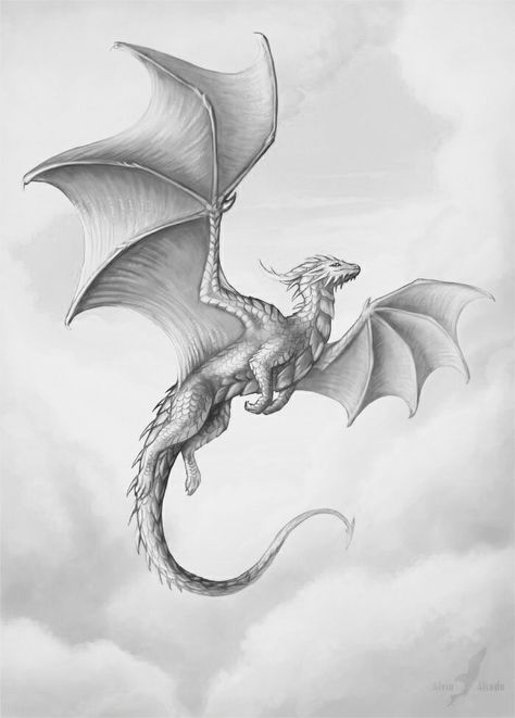 Mythological Dragon Tattoo, Dragon In Flight Drawing, Dragon Full Back Tattoo Design, Fairytale Dragon Tattoo, Abraxos Wyvern Drawing, Dragon With Wings Drawing, Fantasy Pencil Drawings, Dragon Body Drawing, Dragon Drawing Sketches Realistic