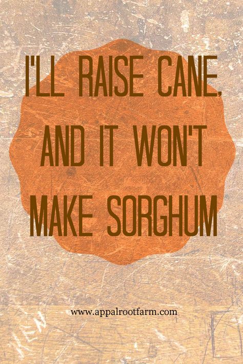 I'll Raise Cane, And It Won't Make Sorghum -  From "The Hills are Syrupy Sweet...and Some Say Haunted Too!" on Appalroot Farm, a blog inspiring those with Appalachian roots to celebrate their heritage.  www.appalrootfarm.com Appalachian Garden, Appalachian Sayings, Gardening Signs, Folk Lore, Lovely Quotes, Appalachian Mountains, Lovely Quote, Garden Signs, The Hills