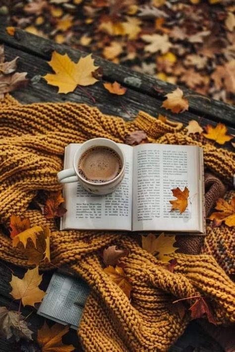 Fall Yellow Aesthetic, Autumn Photos Ideas, Fall Wallpaper Iphone Aesthetic, Aesthetic Scenes, Autumn Ambiance, Autumn Picnic, Fall Collage, Fall Mood Board, Fall Reading