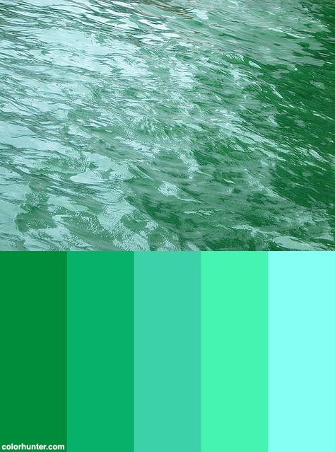 Seagreen Color Scheme from colorhunter.com Sea Green Colour, Paint Color Combos, Zyla Colors, Beach Penthouse, Sea Green Color, Chaat Recipe, Green Palette, Ocean Colors, Green Colour Palette