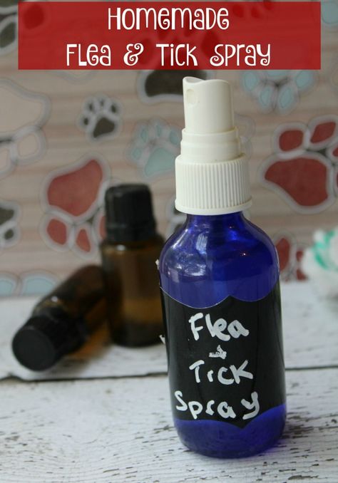 How to make homemade flea and tick spray for pets. Easy to make to use in addition to your vet's recommended flea and tick preventative. #dogs #pets #fleas #ticks Homemade Flea Spray, Flea Spray For Dogs, Dog Flea Remedies, Essential Oils For Fleas, Tick Spray For Dogs, Home Remedies For Fleas, Flea Remedies, Flea Repellent, Essential Oils Dogs