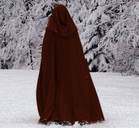 Manon Blackbeak, Cerise Hood, Red Ridding Hood, Crown Of Midnight, Empire Of Storms, Fantasy Aesthetic, Throne Of Glass, Little Red Riding Hood, Red Aesthetic