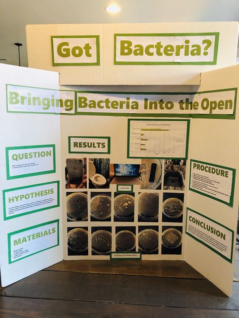 Got bacteria? Science fair project Animal Science Fair Projects, Engineering Science Fair Projects, Popcorn Science Fair Project, Reading Fair Projects, Plant Science Fair Projects, Popcorn Science, Kindergarten Science Fair Projects, Biology Science Fair Projects, History Fair Projects