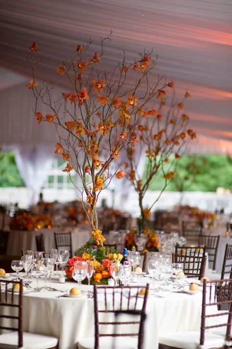 Tent wedding Tree Centrepiece Wedding, Tantawan Bloom, Tree Branch Centerpieces, Tree Branch Wedding, Tree Wedding Centerpieces, Sweet 16 Centerpieces, Gala Decorations, Branch Centerpieces, Romantic Fall Wedding