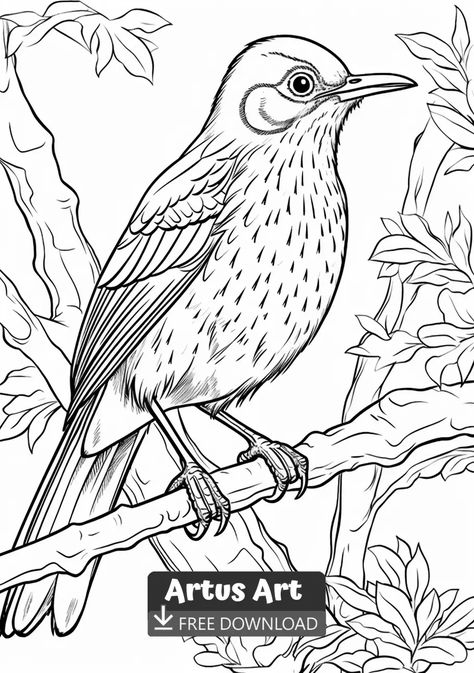 Brown thrasher Coloring Page - Free PDF Download Coloring Page. Escape to a world of imagination with our delightful Brown thrasher coloring pages. Let your artistic side flourish as you fill each PDF page with your favorite shades. #freedownload #brownthrashercoloringpage #brownthrasher Mandala Butterfly, Brown Thrasher, Bird Coloring, Coloring Art, Bird Coloring Pages, Ancient Myths, Online Coloring Pages, Bird Pattern, Steampunk Design