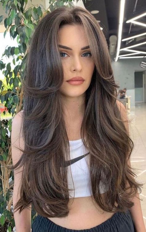 Medium Brown Hair With Layers And Curtain Bangs, Haircut Curtain Bangs, Haircuts For Long Hair With Layers, Hairstyles For Layered Hair, Long Layered Haircuts, Haircuts Straight Hair, Long Hair With Bangs, Long Layered Hair, Haircuts For Long Hair