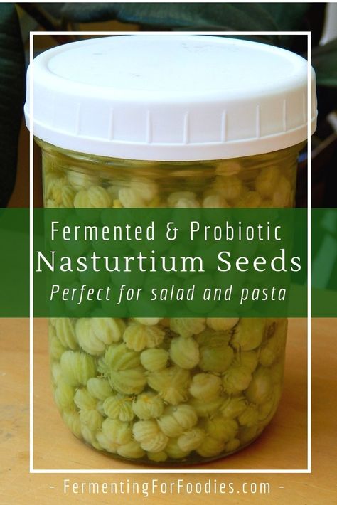 Fermented Nasturtium, Lacto Fermented, Edible Flowers Recipes, Fermented Veggies, Healthy Microbiome, Fermentation Recipes, Foraged Food, Fermented Vegetables, Healthy Dips