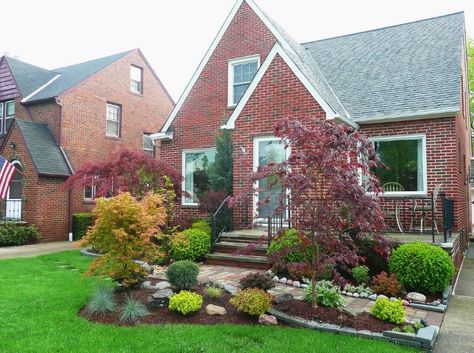 Acer Palmatum, Japanese Maple, Landscaping Design, Front Yard Landscaping Design, Yard Landscaping, Front Yard Landscaping, Front Yard, Landscape Design, Landscaping