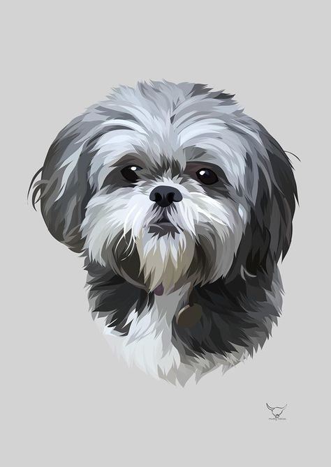 Shih Tzu Portraits, Shih Tzu Painting Easy, Shih Tzu Cartoon Wallpaper, Shitzu Paintings Easy, How To Draw A Shih Tzu, Shitzu Painting, Shitzu Drawing, Shitsu Dog, Shih Tzu Drawing