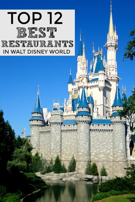 Read this list of the Best Restaurants in Disney World (table service, character meals, and fine dining!) before you make any reservations for your next WDW vacation! This list has suggestions for any type of Disney dining that you're looking for! Disney Vacation Surprise, Homemaker Recipes, Dining At Disney World, Disney Dining Reservations, Book Restaurant, Polynesian Resort, Disney World Restaurants, Florida Destinations, Disney Restaurants