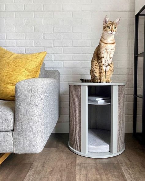 This corner made purr-fect with our Purrrrfect End Table. This piece is crafted from solid wood, sisal and fabric to make a modern cat bad and end table for your bedroom or living room. Shop now on TheRefinedFeline.com. Link in bio! Reposted from @thesavannahcat . . . #refinedfeline #cat #catsofinstagram #cats #catlover #catlife #catlovers #catmemes #catphoto #catvideos #catlifestyle #catlady #ilovemycat #catrescue #catcafe #catinfluencer #catadventures Bed End Table, End Table Diy, Cat Furniture Design, Cat Wall Shelves, Modern Cat Furniture, Outdoor Cat Enclosure, Cat Towers, Bed End, Cat Enclosure