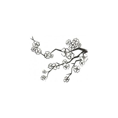 Dogwood Tree Illustration, Dog Wood Tree Tattoo, Tree Background Tattoo, Dogwood Tree Tattoo, Lip Tats, Dogwood Tattoo, Dogwood Flower Tattoos, Draw Background, Tree Branch Tattoo