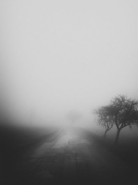 Foggy Cloud Moodboard, Foggy Photography, Creepy Fog, Foggy Landscape, Acoustic Guitar Photography, Black Nature, Dark Landscape, Dark Nature, Guitar Photography