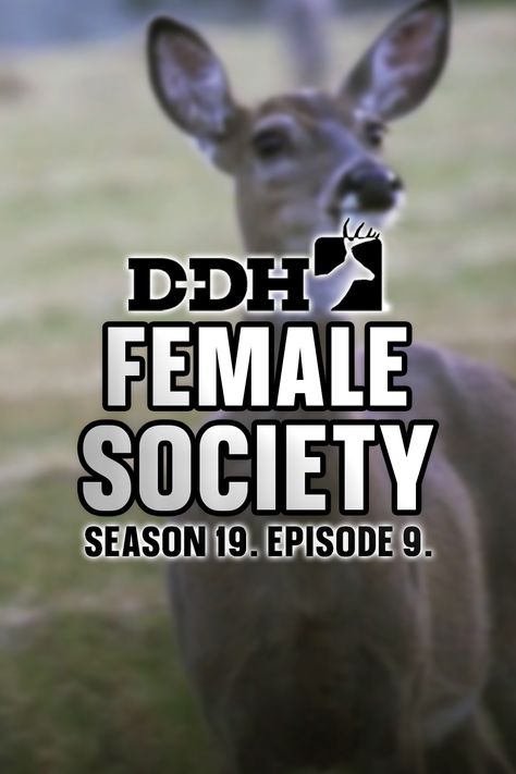 Editor-in-Chief Dan Schmidt unravels the social structure of the whitetail doe community. Meanwhile, already tagged out on a big buck in Texas, outdoor writer Brad Fenson turns his sights to mature does. Deer & Deer Hunting TV. Season 19. Episode 9. Social Structure, Big Buck, Deer Hunting, Schmidt, The Social, Deer, Hunting, Texas, Turn Ons