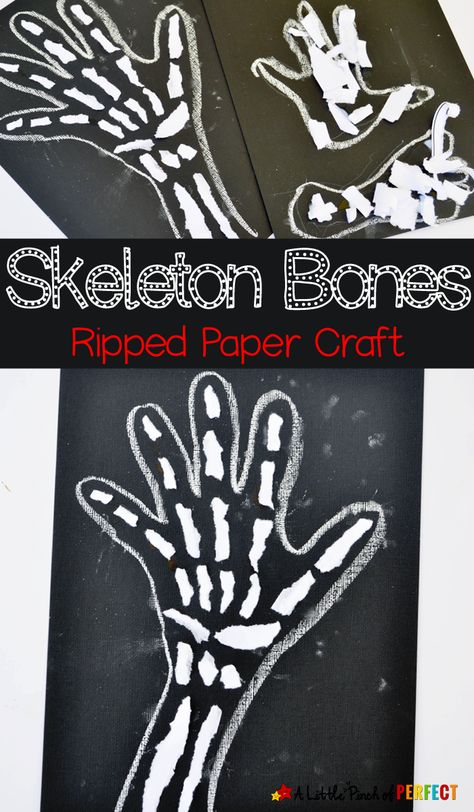 Skeleton Bones Ripped Paper Craft for Kids: No scissors are needed for this craft and it's perfect for a Human Anatomy lesson, X is for X ray craft, or spooky Halloween decoration Doctor Craft, Human Body Crafts, Community Helpers Preschool Activities, Skeleton Craft, Body Preschool, Human Body Activities, Paper Craft For Kids, Anatomy Lessons, Ripped Paper