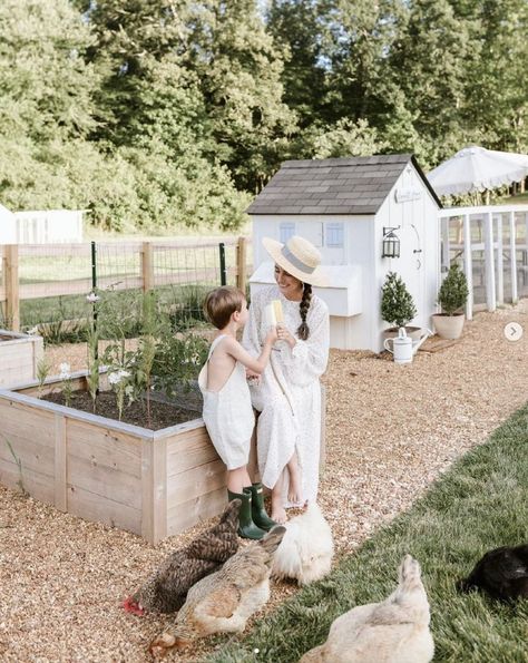 Chicken Coop Near Garden, Chicken Coop Inside Garden, Chicken Coop Veggie Garden, Vegetable Garden And Chicken Coop, 2 Chicken Coop, Backyard Garden And Chicken Coop, Chicken Coop Garden Combo Design, Chicken Coop Photoshoot, Cutest Chicken Coop