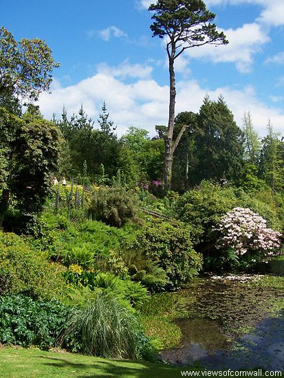 The Lost Gardens of Heligan, Pentewan, St Austell, Cornwall Cornwall Garden, Lost Gardens Of Heligan, Lost Garden, Truro, Cornwall England, English Country Gardens, Most Beautiful Gardens, French Garden, Paradise On Earth