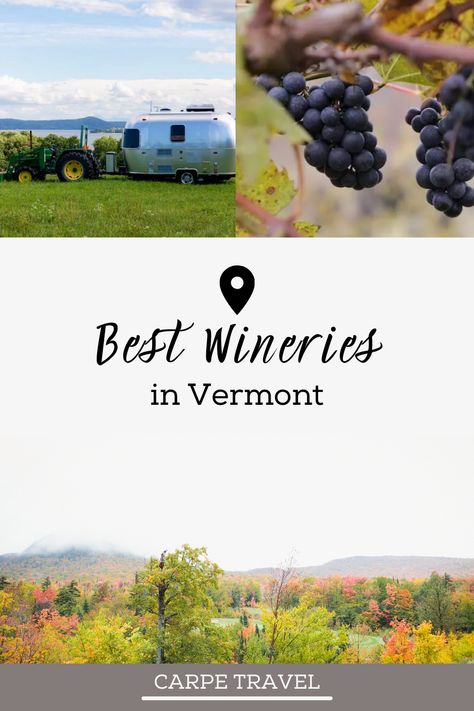 This list of the best wineries in Vermont is sure to leave you happy you visited Vermont wine country. Try ice wine, glamp on a winery, and taste some fantastic rose. Try out the best wineries in Vermont on your next wine tour. Grand Isle Vermont, Vermont Trip, Wine Country Travel, Grand Isle, Stowe Vermont, Burlington Vermont, Ice Wine, Lake Champlain, Natural Wine