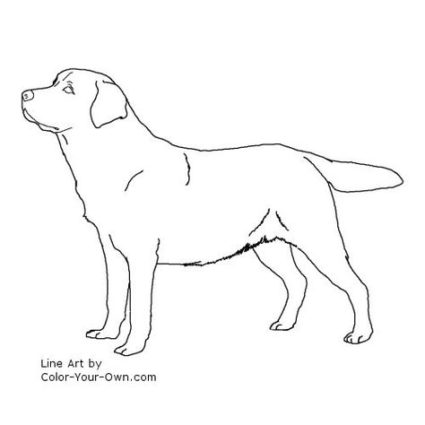 Labrador Retriever Tattoo Ideas, Labrador Retriever Line Art, Labrador Line Art, Dog Sketching, Labrador Drawing, Lab Drawing, Dog Tumblr, Puppy Coloring Pages, Dog Line Art