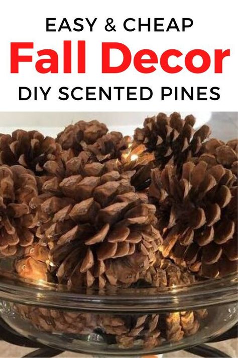 fall decor ideas for the home diy 2020, make your home, kitchen, living room, bedroom or bathroom smell like fall with this quick scented pinecone decor idea. Pinecone crafts are a quick way to decorated for fall on a budget. #hometalk Cheap Fall Decor Ideas, Fall On A Budget, Smell Like Fall, Pinecone Decor, Scented Pinecones, Cheap Fall Decor, Pinecone Crafts, Diy Scent, Diy Pinecone