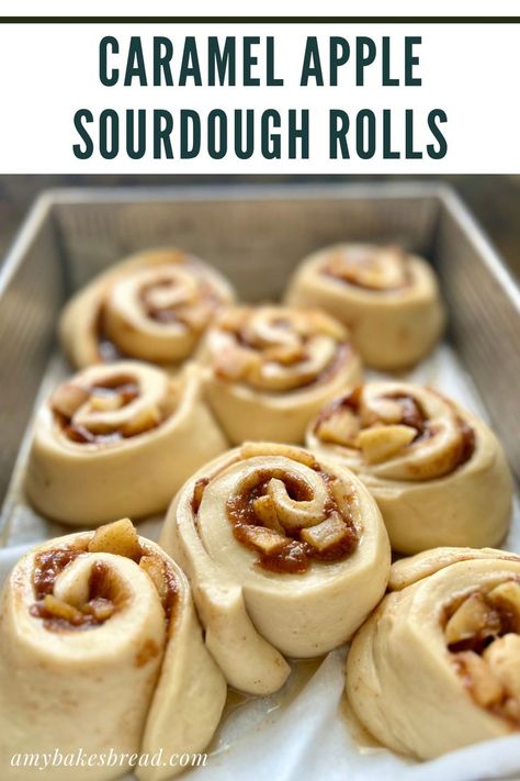 Apple Sourdough, Recipe Using Sourdough Starter, Natural Yeast, Sourdough Rolls, Sourdough Cinnamon Rolls, Caramel Rolls, Sourdough Bread Starter, Apple Cinnamon Rolls, Sourdough Starter Discard Recipe