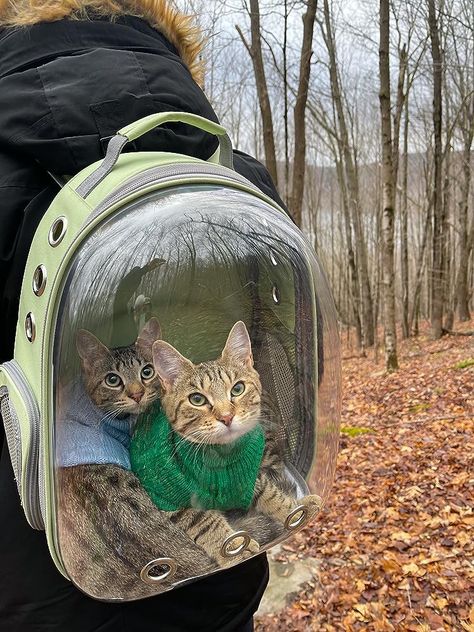 Dog Backpack Carrier, Adventure Cat, Cute Small Animals, Silly Animals, Cat Facts, Cute Animal Pictures, Pet Carriers, Baby Cats, Cat Mom