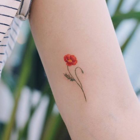 60 Beautiful Poppy Tattoo Designs and Meanings | TattooAdore Poppy Flower Tattoo Small, Poppy Tattoo Meaning, Poppy Tattoo Small, Red Poppy Tattoo, Tiny Flower Tattoos, Poppy Flower Tattoo, Poppy Tattoo, Iris Tattoo, Flower Tattoo Meanings