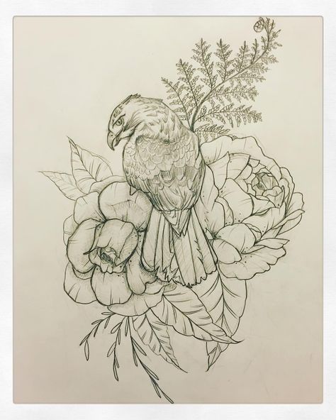 Potentially my next tattoo design :) #flashtattoo #flash #flower #rose #peony #fern #plants #foliage #linework #linedrawing #sketch #hawk Hawk And Flower Tattoo, Hawk With Flowers Tattoo, Eagle With Flowers Tattoo, Red Tailed Hawk Tattoo Feminine, Hawk Tattoo Feminine, Hawk Drawing, Hawk Tattoos, Sketches Flowers, Tattoo Peony