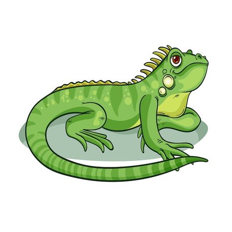 Vector gratuito ilustración de iguana de... | Free Vector #Freepik #freevector #iguana #ilustraciones #animaciones #cute Cartoon Iguana, Iguana Illustration, Inspo Pics, Vector Hand, Gecko, Cartoon Illustration, Animal Illustration, Cute Illustration, Cartoon Animals