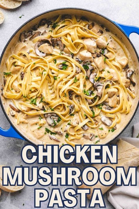 chicken mushroom pasta on a white plate. Chicken Mushroom Dinner, Pasta With Cream Sauce, Creamy Chicken Mushroom Pasta, Cream Of Mushroom Pasta, Mushroom Dinner, Mushroom Fettuccine, Chicken Breast Pasta, Creamy Chicken Mushroom, Chicken Mushroom Pasta