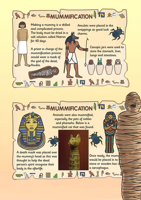 KS2 Ancient Egypt- Mummification Posters Ancient Egypt Lessons, Ancient Egypt Crafts, Ancient Egypt Activities, Ancient Egypt For Kids, Egypt Lessons, Ancient Egypt Unit, Egyptian Poster, Egypt Activities, Ancient Egypt Projects