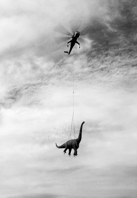 Arte Peculiar, Dinosaur Pictures, A Dinosaur, Art Et Illustration, Kites, Vintage Humor, Pics Art, An Animal, Two People