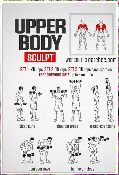 Looking to get in shape? Check out our comprehensive Abs workout routines! Planner Workout, Workout Gym Routine, Full Body Dumbbell Workout, Trening Sztuk Walki, Gym Workout Planner, Dumbell Workout, Gym Workout Chart, Workout Routine For Men, Men Abs