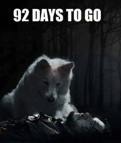 Not like I'm counting down or anything Jon And Ghost, Ghost Got, Game Of Thrones Series, Game Of Thrones 3, Game Of Thrones Tv, John Snow, Fire And Blood, A Dance With Dragons, George Rr Martin