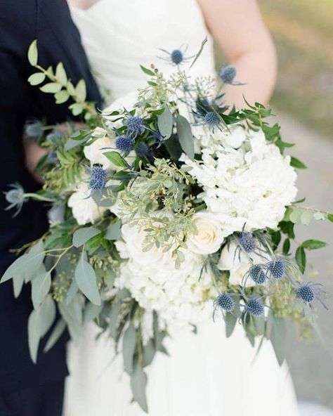 Thistle Wedding Flowers, Thistle Bouquet Wedding, Eucalyptus Wedding Decor, Hydrangea Bridal Bouquet, Thistle Wedding, Hydrangea Bouquet Wedding, Wedding Flowers Hydrangea, Hydrangea Blue, Bridal Bouquet Blue