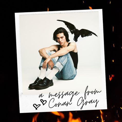 A Message From Conan Gray - The SG Boys | Podcast on Spotify Gray Album Covers, Kid Krow, Iconic Album Covers, Music Album Covers, Universal Music Group, Latest Albums, Conan Gray, Lorde, Music Album