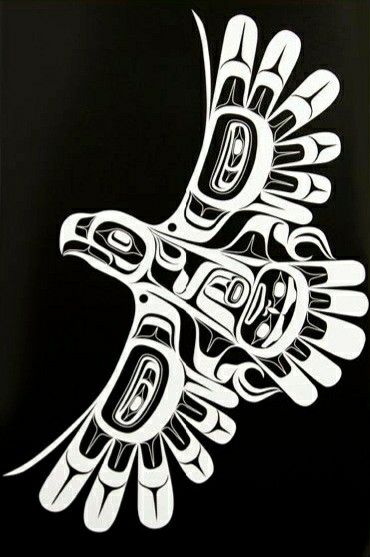 Native Drawings, Haida Tattoo, Arte Haida, Native Artwork, Native Tattoos, Pacific Northwest Art, Haida Art, Native American Symbols, Inuit Art