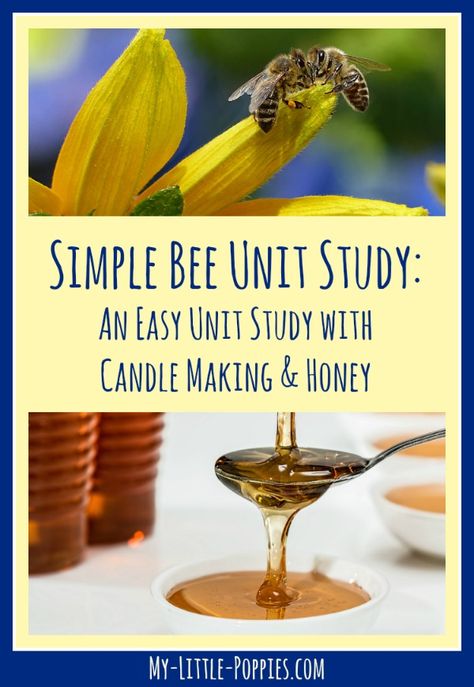 Bee Unit Study, Pollination Activity, Bee Candle, Honey Making, Making Honey, Science Unit Studies, Unit Studies Homeschool, Bee Activities, Unit Studies