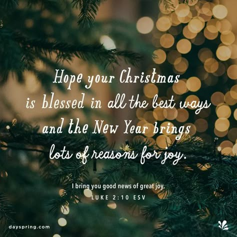 Christmas Card Verses, Christmas Greetings Quotes, Christmas Greetings Messages, Christmas Wishes Messages, Christmas Wishes Quotes, Christmas Quotes Inspirational, Christmas Verses, Christmas Ecards, Christmas Card Sayings